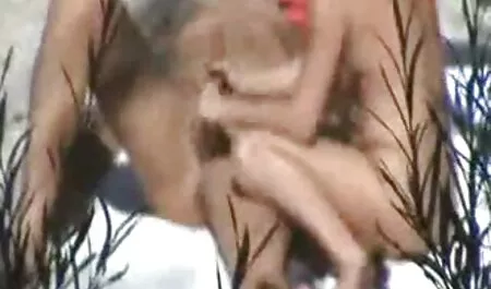 Annie Sói tải sex nhật bản xuất tinh trong lỗ bởi tất Cả Nội bộ