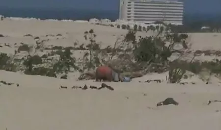 Tinh rực rỡ trong văn phòng của chủ sở tai phim sex nhật hữu của mình