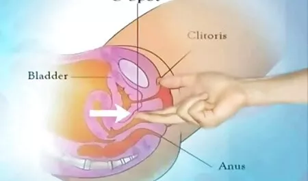 Law4K. Sofia Lee đã tai phim sex nhat ban hay tham gia vào ăn cắp những thứ trong công viên, nhưng có