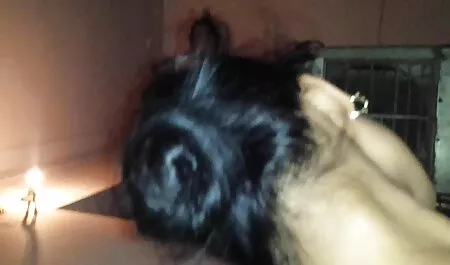 Pháp phim tai phim sẽ nhat ban