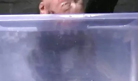 Hai tai phim sec nhat ban giành cho đội