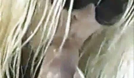 Ucraina thủ tai phim sex nhat ban ve may dâm hậu môn, và một kem, ngọt ngào trong đít